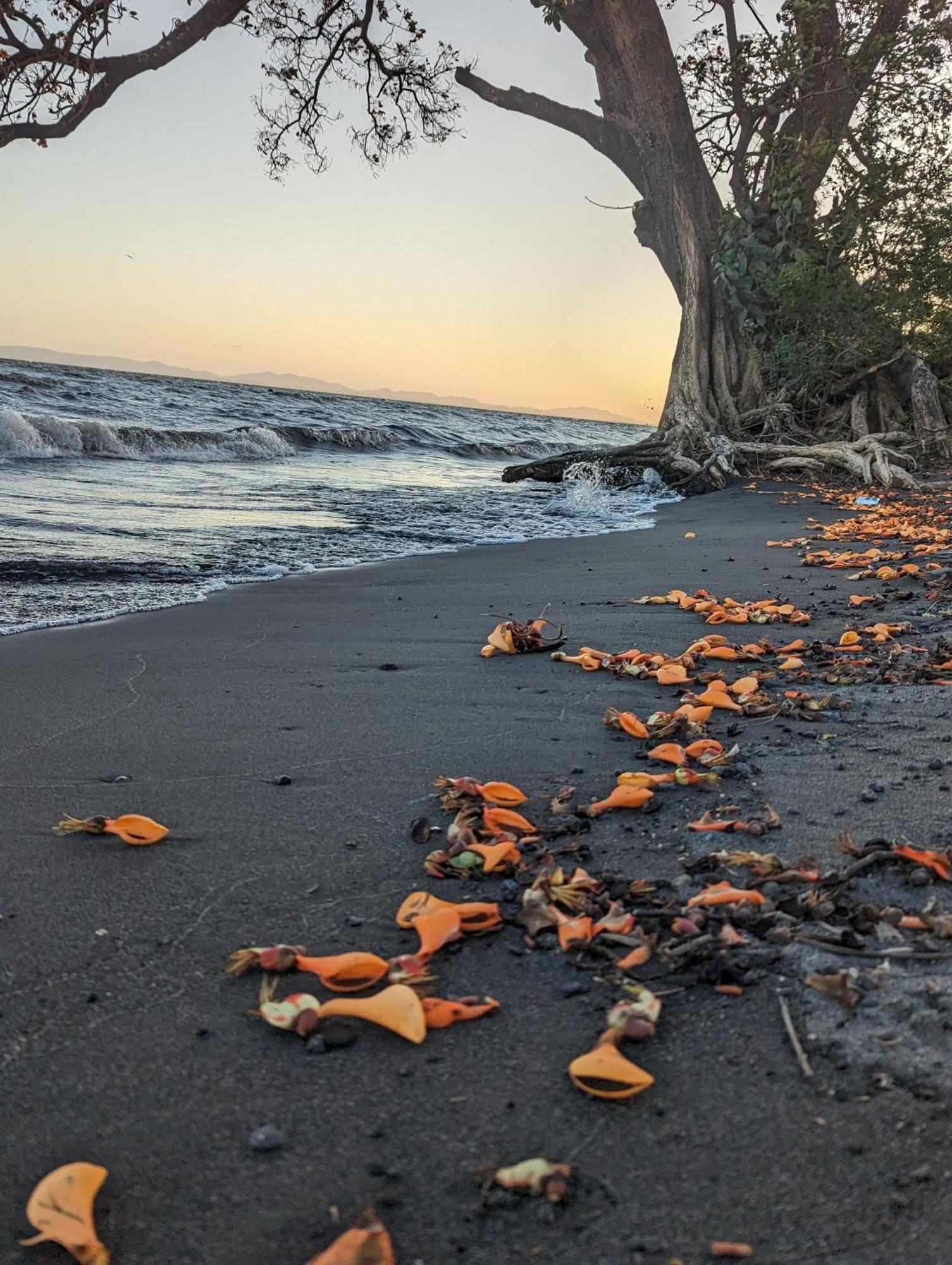 Hotel Playa Santa Martha Rivas Zewnętrze zdjęcie