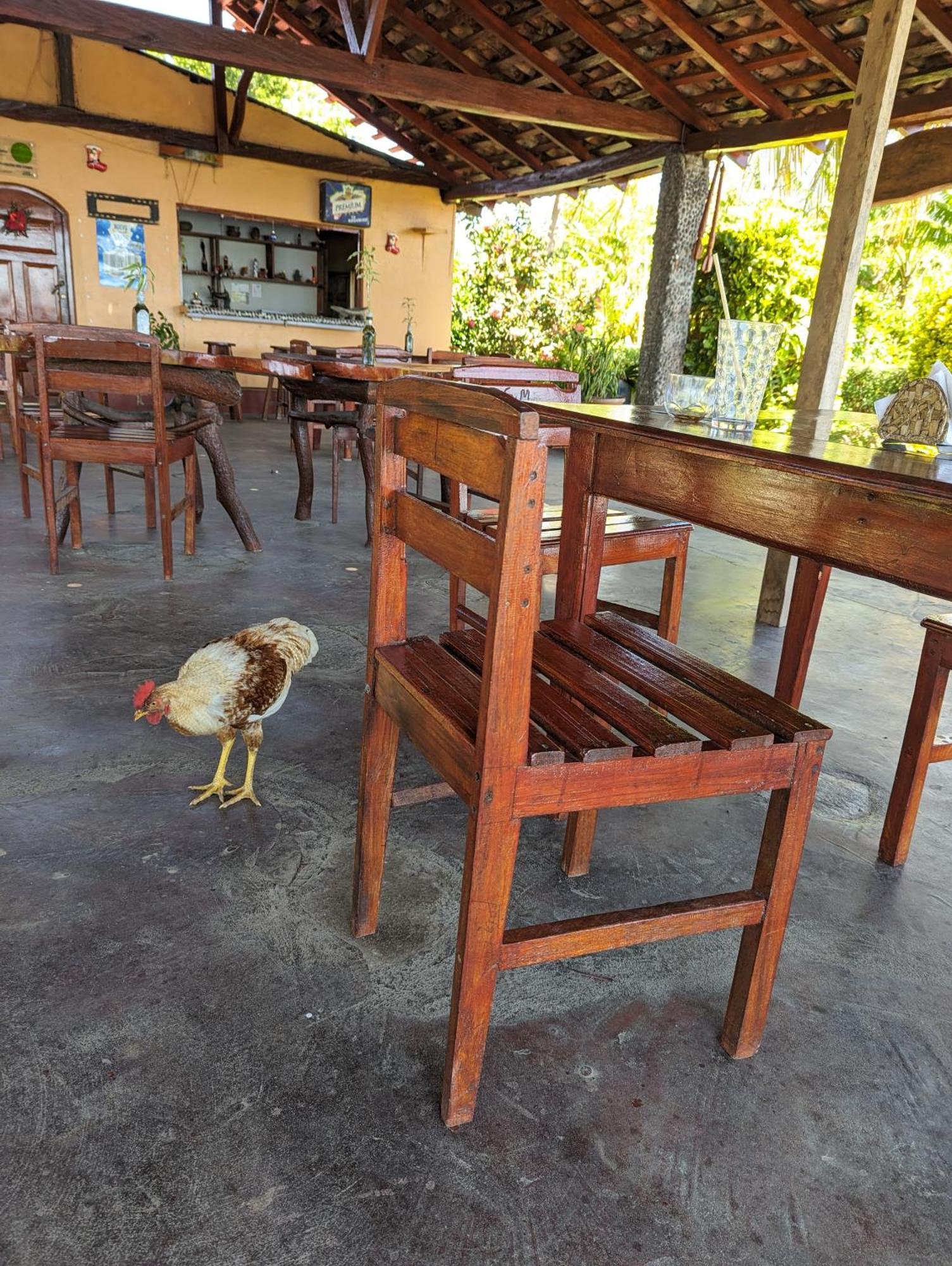 Hotel Playa Santa Martha Rivas Zewnętrze zdjęcie